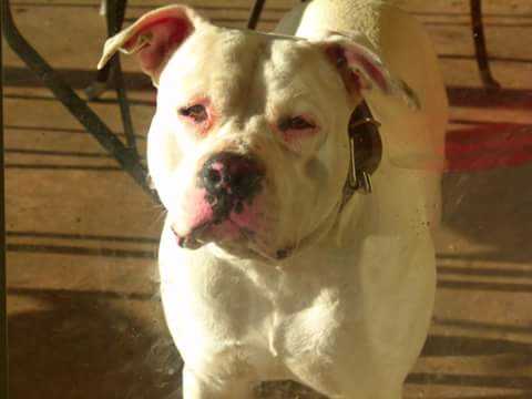 HERIZON CUT LOOSE ZEUS