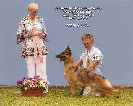 GCH CH Scherzar's Wicked