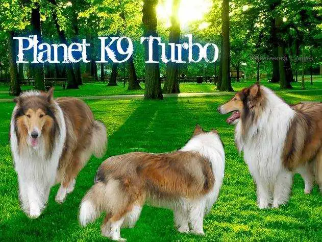 PLANET K9 TURBO