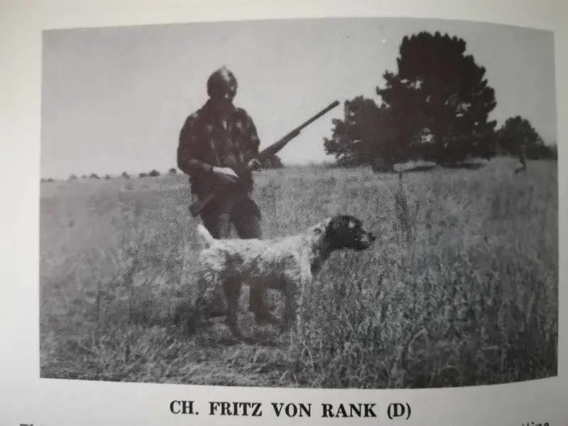 CH Fritz Von Rank