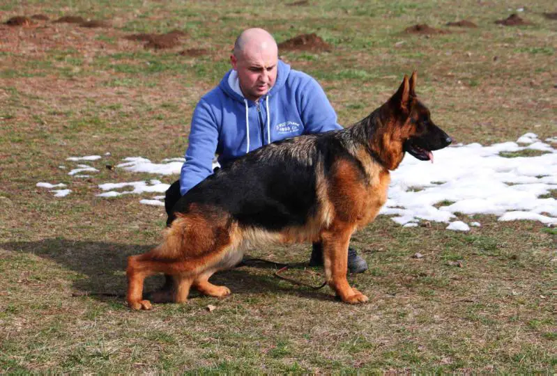 SG7 BSZS 2017, 6xSG1 Gaby Feetback