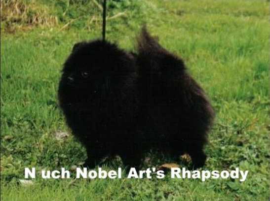 NO UCH Nobel Art Rapsody