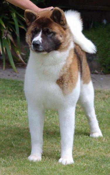 Graecarth's You're My World