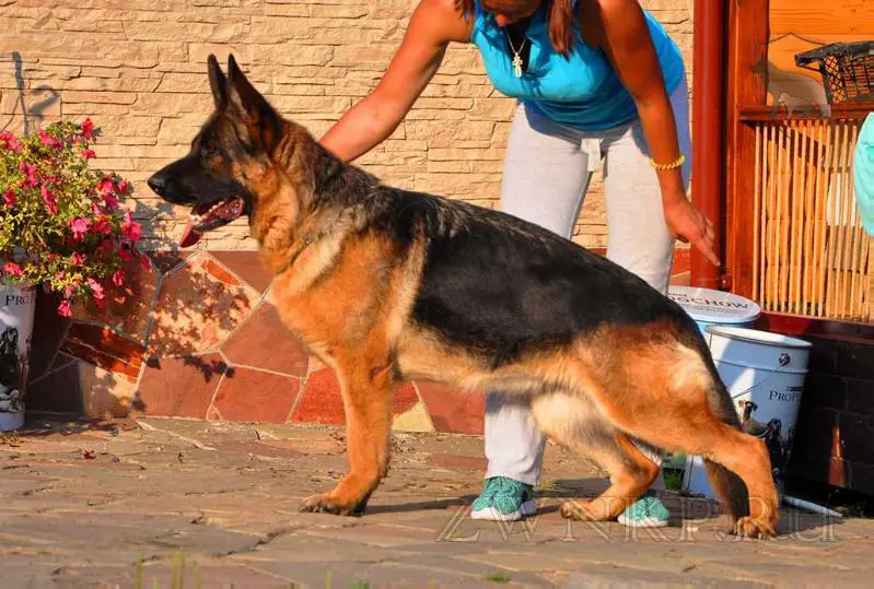 Zilber Wasserfall Shtuchka