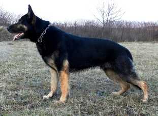 G Lionel Policia-Slovakia