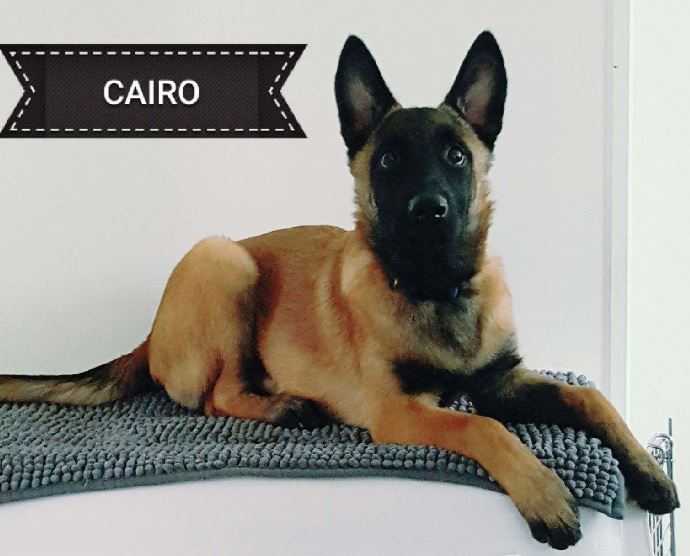 Cairo
