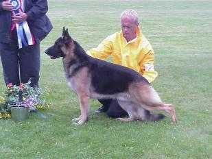 MBISS Ch Nobler Amazing Grace Fleetrun