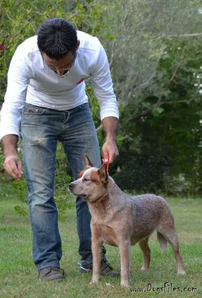 BANANA BENDER SISTER IN LOVE