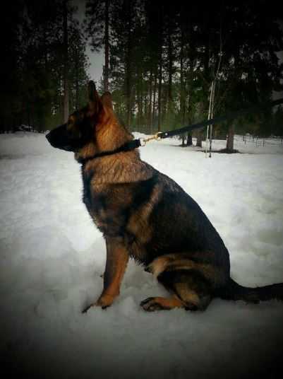 Grethen of Echo Ridge