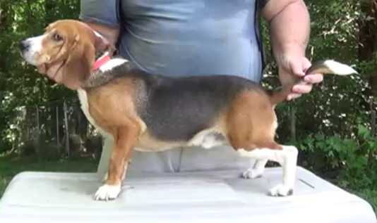 Millerlake's Charlie Wooster