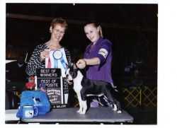 Dorkay's Hot Vegas Nights