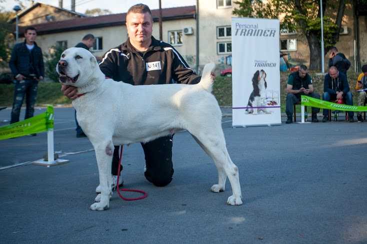 CECA OD MILORADA