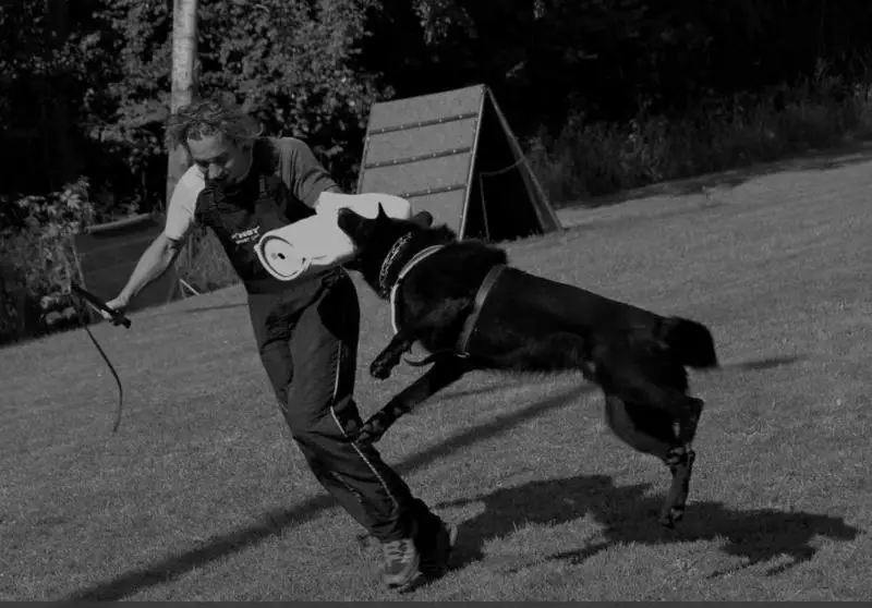 V Pendox vom Weinbergblick