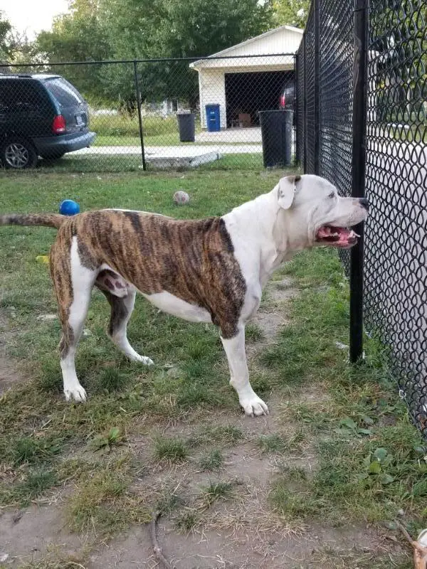 Jagers' Payton E of KLK