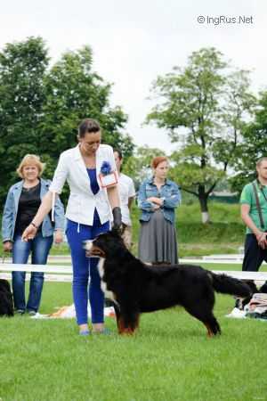 Justina Elit Haus Loly