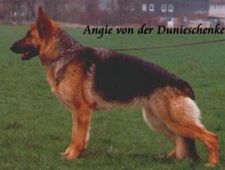 V Angie von der Dunieschenke