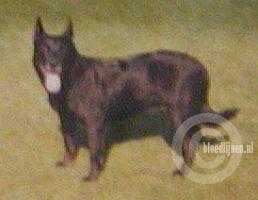 Britta I (Dhr. B. Huijs, Baarlo)