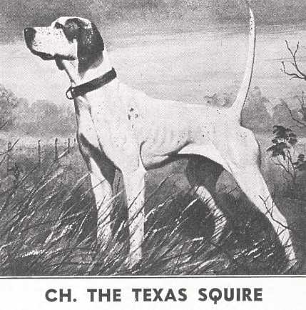 THE TEXAS SQUIRE