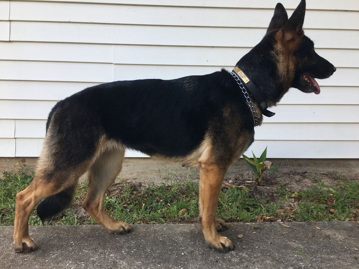 Charlotte's Tangled Web Of Creation