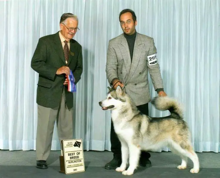 CAN CH. Bearhug's Rushin For The Kill