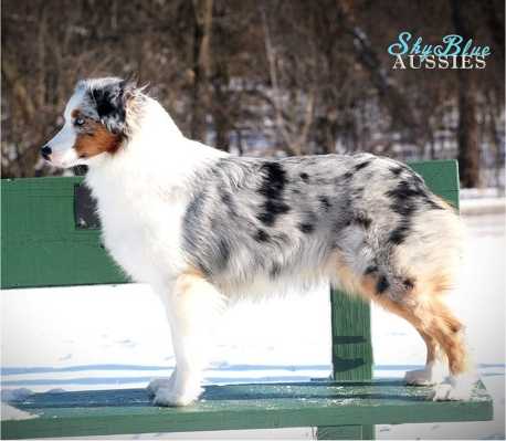 Kentridge Smoke And Mirrors