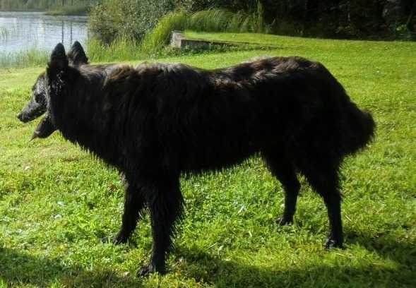 Nicht Je Nadjenna v.h. Eigen Land