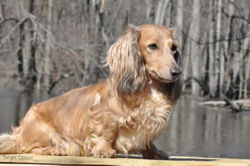 McMillan's Blue Skies Over Sahara