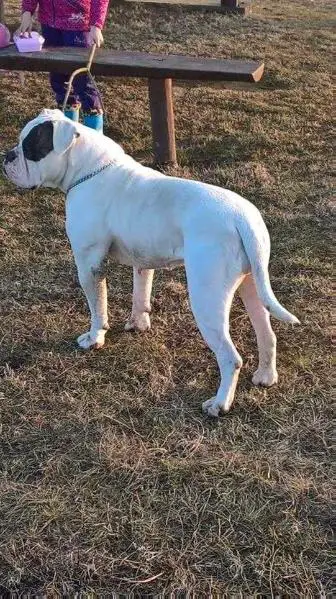 Newborn bullies Molly