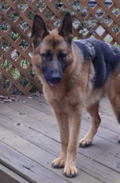 Isa Jolanka Vom whiteheart