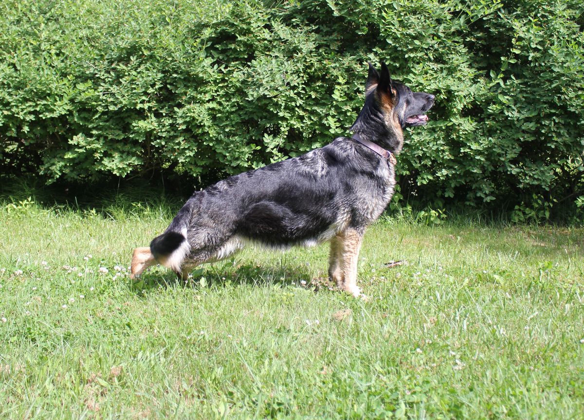 MOUSAM RIVER'S NORDIC GODDESS