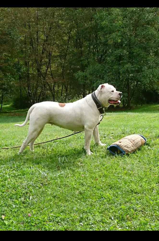 WHITE CLOWNS JILL aka RUNA