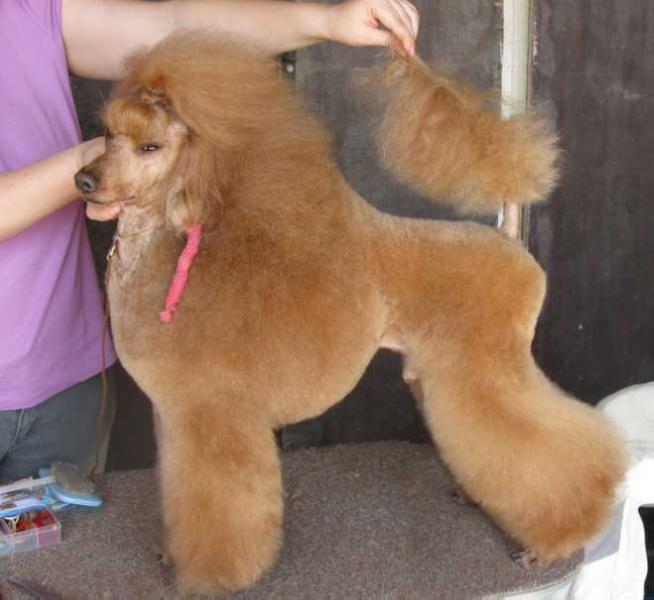 Tcheelepepper´s Edinstvenny