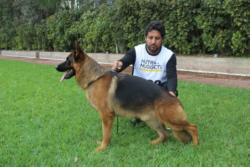 SG1 Wallas Del Santino