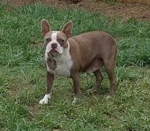 Xena The Warrior Princess 5