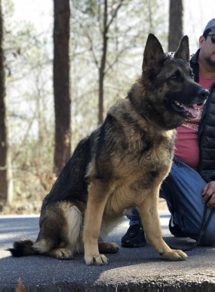 Maxxi Pain vom Tek’s