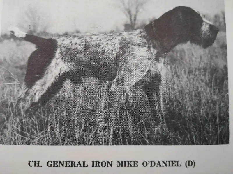 GENERAL IRON MIKE O'DANIEL (D)