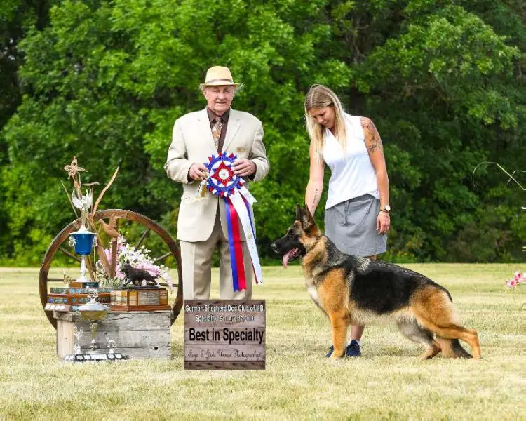 Can Select BISS BIM BIF GCH Prairiesides Only One Anastasia