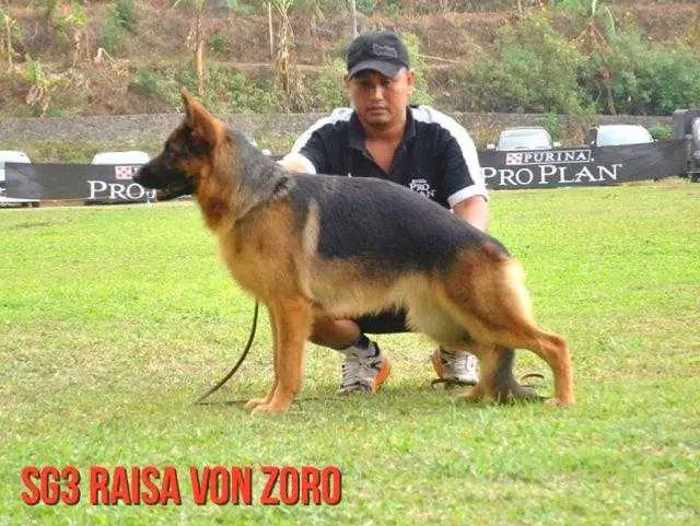 Raisa von Zoro