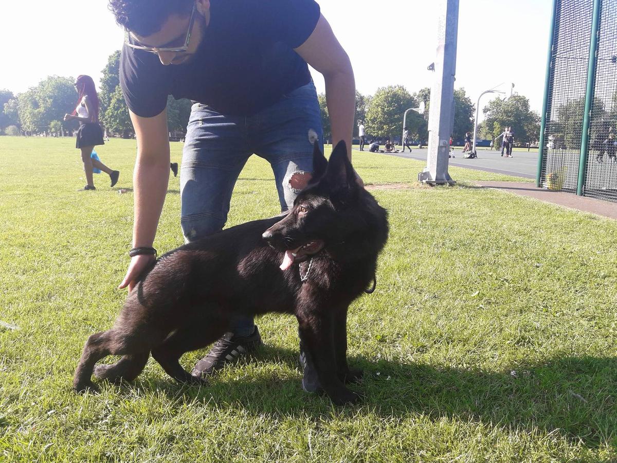 Ofra Team Falvavolgyi