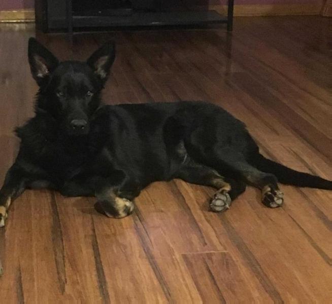 Ember Coal Blakely Von Bokern