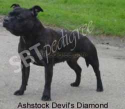 Ashtock Devils Diamond