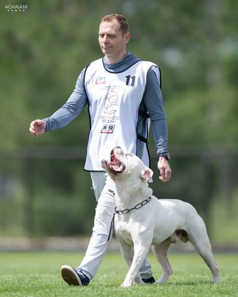 CH FaithFullbull's Cernunnos AKA Pan