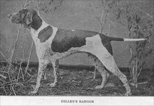 DILLEY'S RANGER