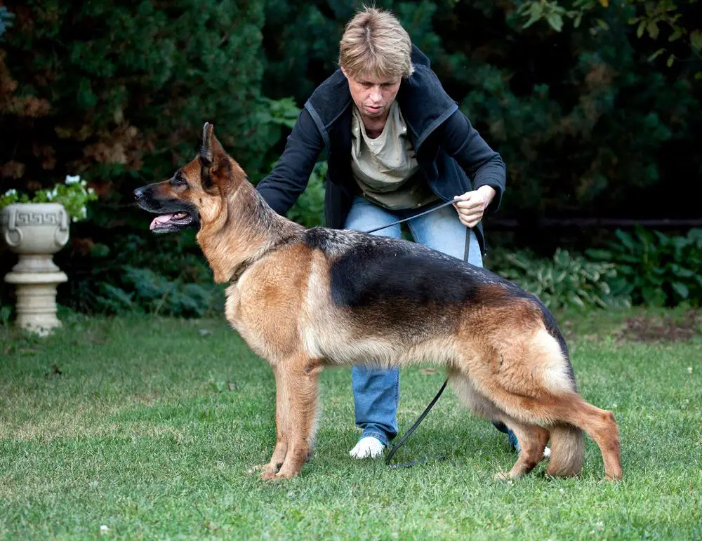 JCHRKF, JCHRUS, CHRUS, CHRKF Roma von Roten Blitz