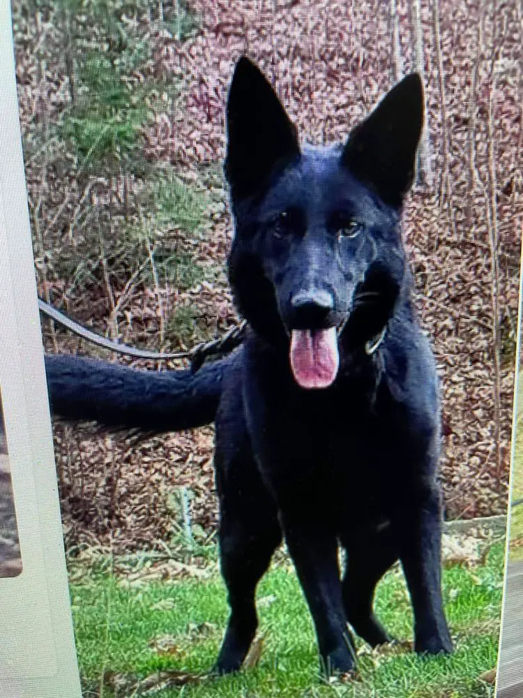 Double Trouble Vom Sennertal