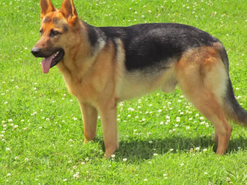 U GR CH EZ Brooks Keep Me In Your Pocket