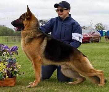 Eagle Valley's Country Boy