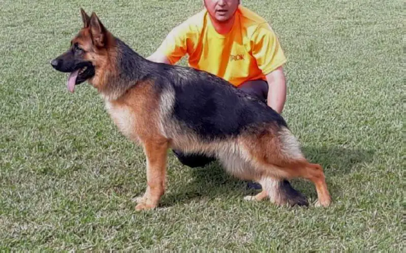 Urana do Alto do Agavê