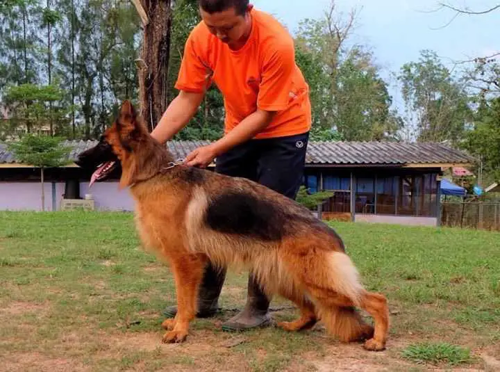 Onglee Von Der Pakchong