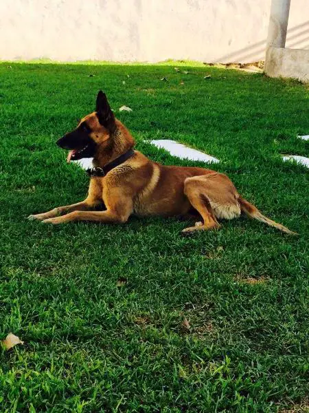 Fantome de la Plaine des Cheyennes